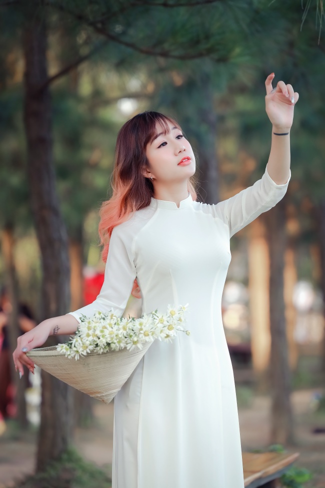 子弹与玫瑰