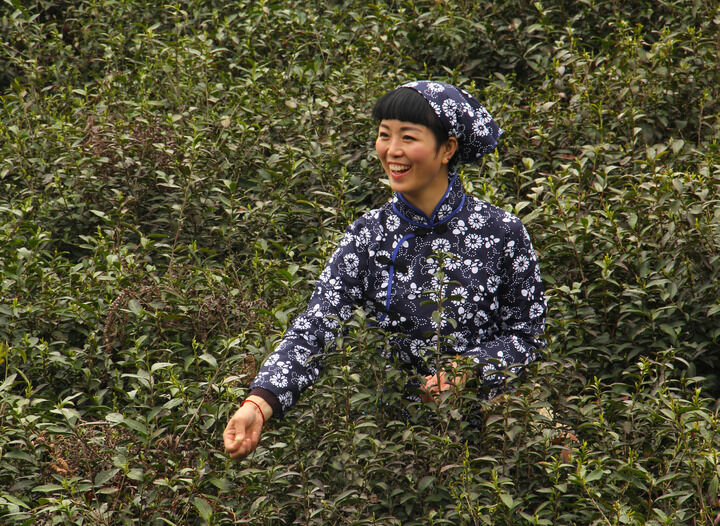 暗巷魅影